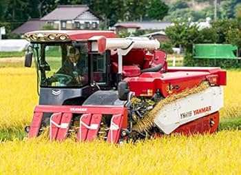 Amazon.co.jp: 新米【無洗米】令和7年産 宮城県一迫産限定米