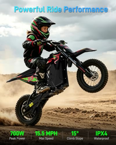 QWAYQ 36V Electric Dirt Bike