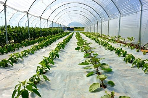 Suncover Greenhouse Plastic Film Clear Polyethylene 6 mil 4 Year UV Resistant Cover (14 ft Wide x 25 ft Long)