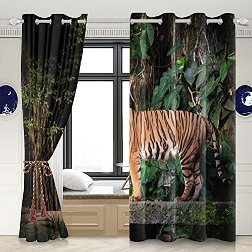 Kodaqo Decoración de dormitorio con diseño de tigre verde jungla con diseño de tigre para caminar sobre las rocas cortinas de ventana de escena de