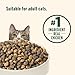 Nutrish Indoor Complete Premium Natural Dry Cat Food, Chicken with Lentils & Salmon Recipe, 14 Pounds (Packaging May Vary)