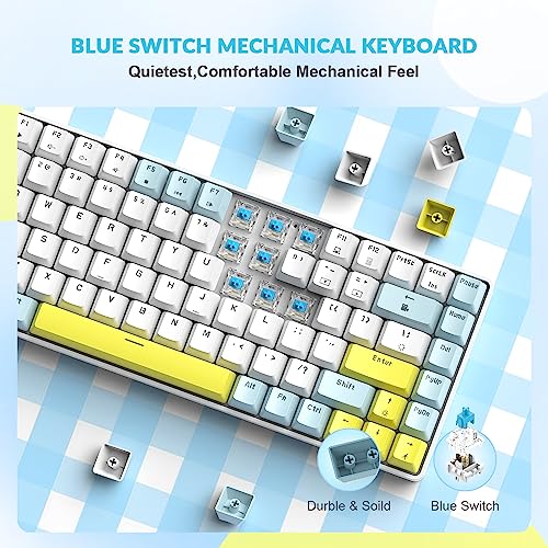 Teclado Mecánico RK-84 Compacto USB-C RGB miniatura 6