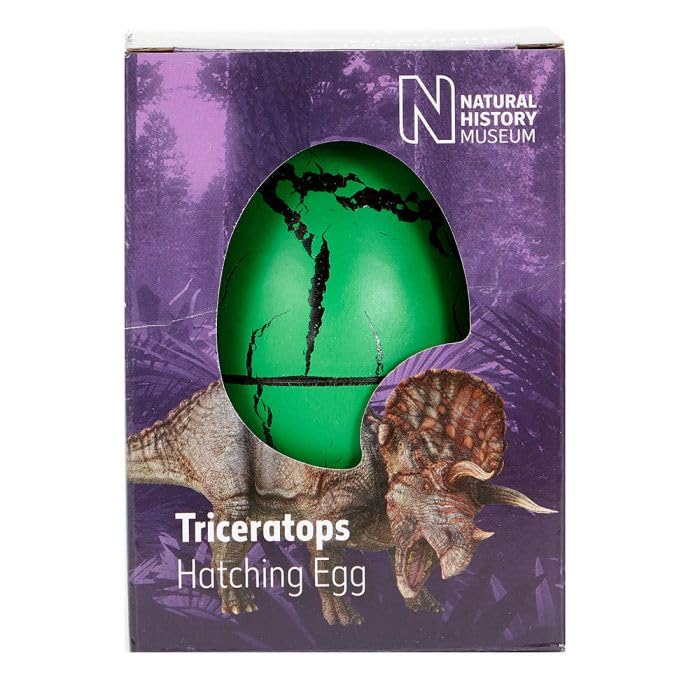 Natural History Museum Triceratops Hatching Egg in a Box
