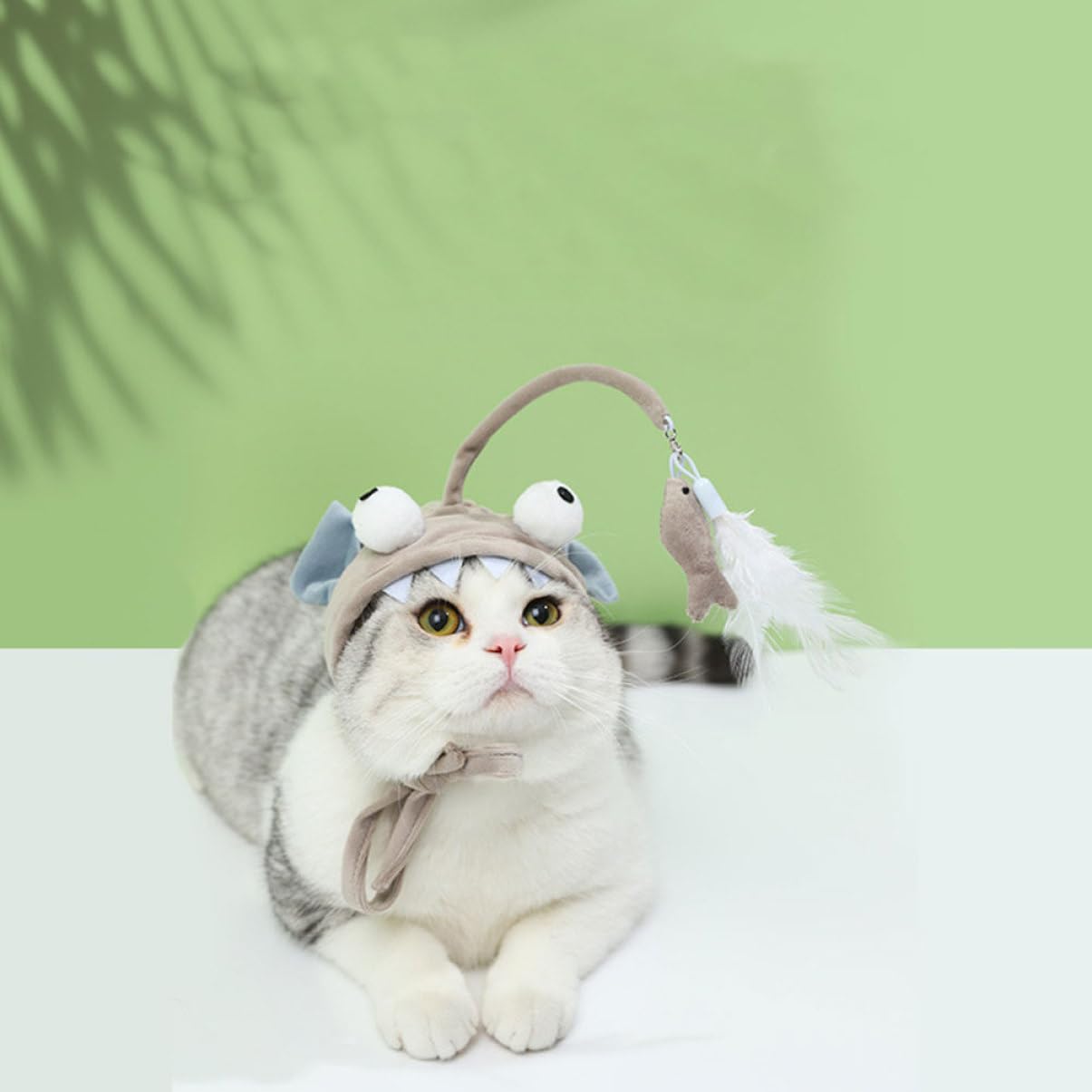 Kisangel 6stücke Katzen-Spielzeug Mit Kopftrage-Design Interaktives Katzenspielzeug Für Drinnen Fördert Jagdinstinkt Geeignet Für Katzen Und Kätzchen Aller