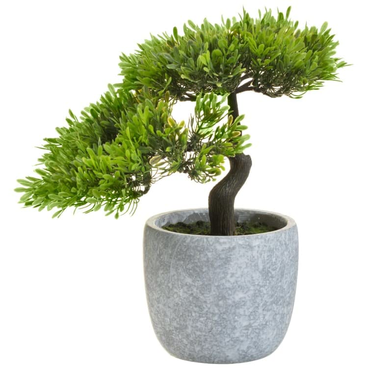 New Wonderful Bonsai Tree in Concrete Grey Pot 29cm Lovely Room Windowsill Decor