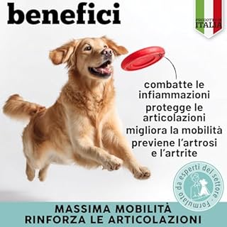 MyPetPrime Articolazioni Cane Mangime Complementare 125 Compresse | Nuova Formula JointSupport con MSM, Polvere di Cozza Verde, Glucosamina, Condroitina e Artiglio del Diavolo