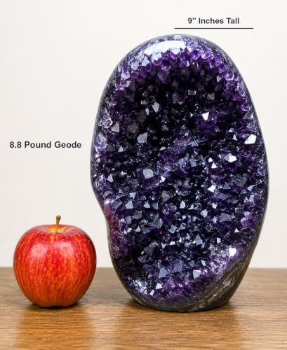 Image of Extreme Rocks & Fossils Superior Best Amethyst Cluster (Deep Purple Amethyst, Unique Specimens 8 to 10 lbs)