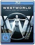 Westworld - Die komplette 1. Staffel