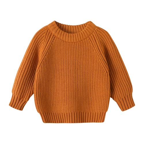 YOUNGER STAR Toddler Baby Girls Boys Knit Sweater...