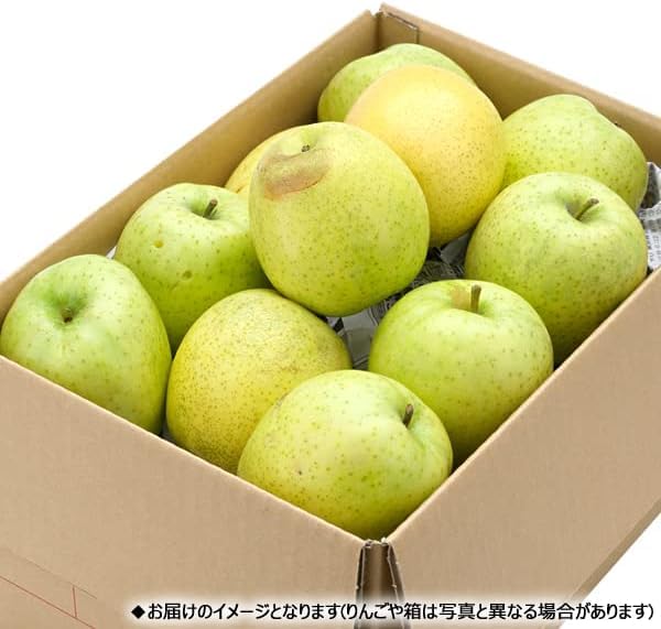 数量限定　　雪質貯蔵　　王林　　家庭用５kg 青森県産りんご「ぐんま名月」5kg+「王林」5kg 家庭用 キズ有 セット