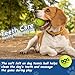 INSUM Tennis Balls for Dogs - 12 Pack 2.5'' Durable Non-Toxic Outdoor Dog Toys Balls with Mesh Bag, SGS Certified, Colorful Fetch Toys, Medium Large Breeds (Non Squeaky)