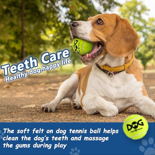 INSUM Tennisbälle für Hunde, bunt, leicht zu fangen, 5,1 cm, 12 Stück