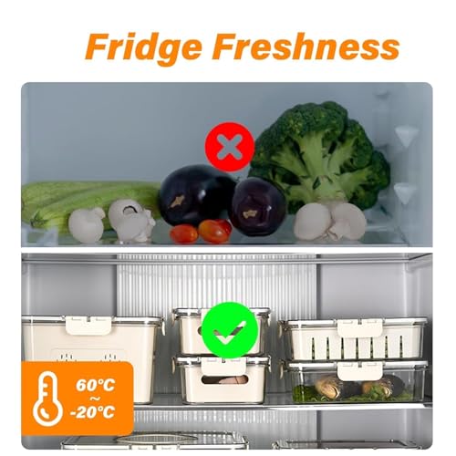 Image of VYOOx Fridge Storage Container with 4 Compartments & Lid | BPA Free Airtight Food Storage Box with Removable Divider Tray & Handle | Leak Proof Organizer for Fruits, Vegetables & Snacks (1 Pc)