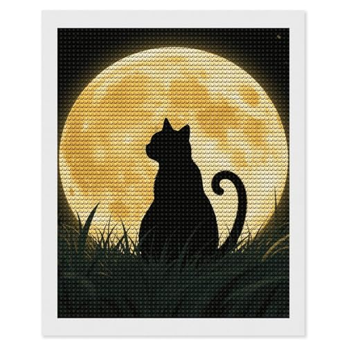 Kit de peinture diamant 5D chat sous la pleine lune FodPand 40x40cm