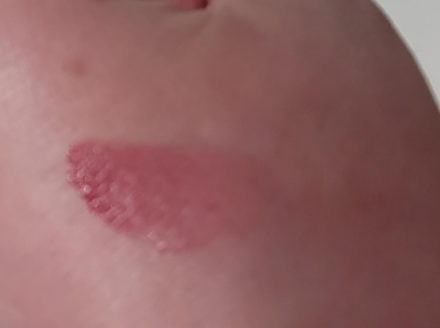 Blush Butter Balm photo review