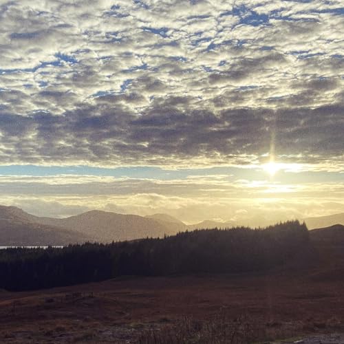 Image of demo_20251122