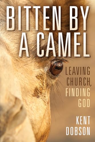 Bitten By a Camel view 2