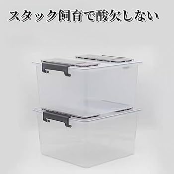 よしちゃん3個セット　⑦広い大きいカブトムシ用飼育ケース【DIY】 51QrfsYQOjL._AC_UL210_SR210,