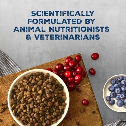 Blue Buffalo Wilderness Chicken & Wholesome Grains Adult Dry Dog Food, 13lb - image 6