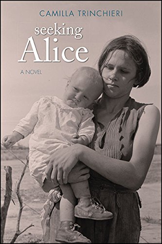 Seeking Alice: A Novel (Excelsior Editions)