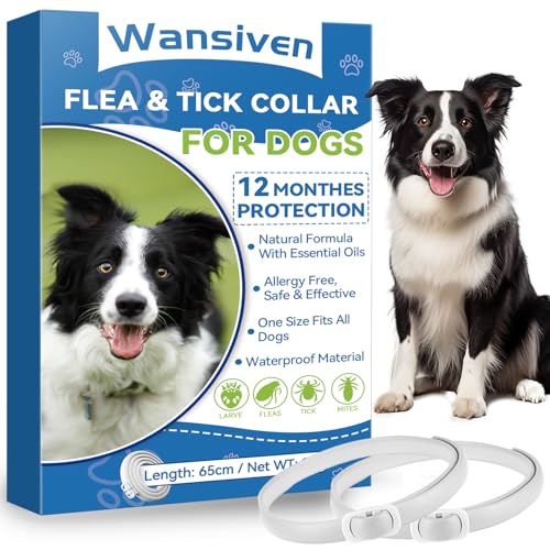 Wansiven Collare antipulci per cani, collare antipulci regolabile con oli essenziali, protezione 12 mesi, 65 cm (Viola-2p)