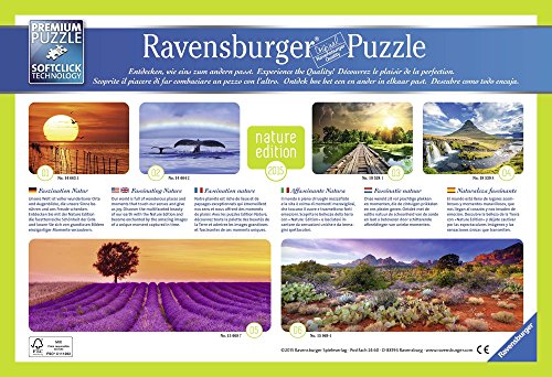 Ravensburger Puzzle, Puzzle 1000 Pezzi, Deserto
