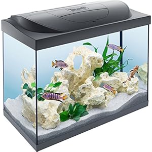 Tetra Starter Line LED Acuario 80 L – Juego completo que incluye iluminación LED, un acuario estable para principiantes con tecnología, alimentos y productos de cuidado, negro