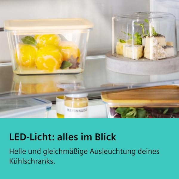 Siemens Gefrierschrank No Frost iQ500 GS51NAWCV – Bild 10