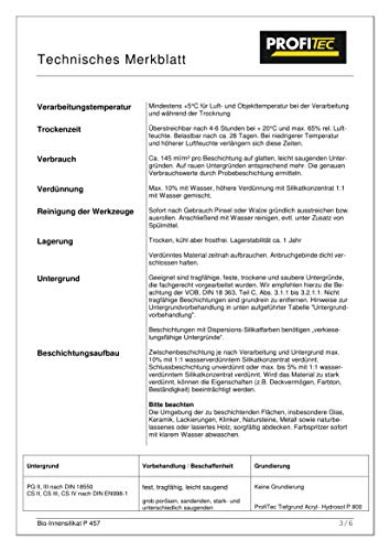 Silikatfarbe Profitec Bio-Innensilikat P457 5 Liter Innenfarbe