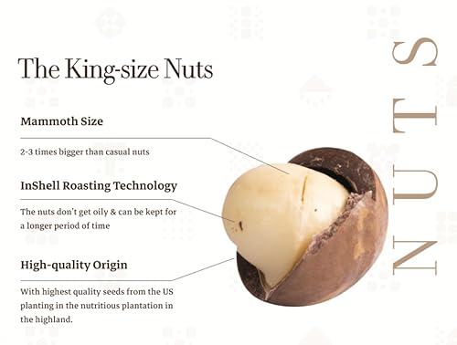 Miniatura 3 de Ong Ba Nueces de macadamia tostadas vietnamitas premium, sin sal, en cáscara  17.64 oz  17.6 oz  Paquete de 2