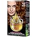 Garnier Olia Ammonia Free Permanent Hair Color, 100% Gray Coverage (Packaging May Vary), 6.43 Light Natural Auburn, Red Hair Dye, Pack of 1