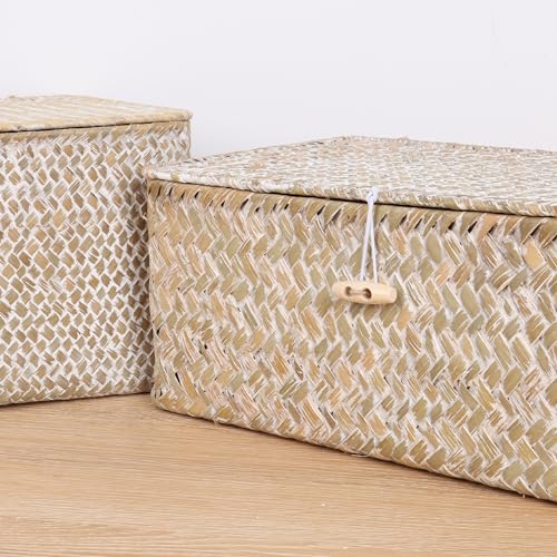 FEIALNDUO Wicker Shelf Baskets with Lid,Seagrass Storage Basket Bins Rectangular Handwoven Basket Boxes for Shelves Desktop Home Organizer (Whitewash, Medium) by FEILANDUO - Image 4