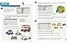 Pupil Book 3B (Busy Ant Maths)