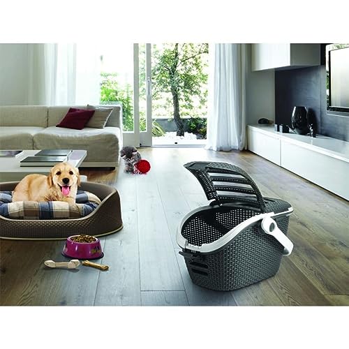 Curver Transportbox L: 51 cm B: 38 cm H: 33 cm anthrazit