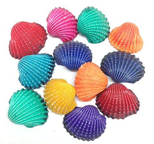 PEPPERLONELY 12 PC Dyed Baby Arks Sea Shells, 1-3/4 Inch ~ 2 Inch