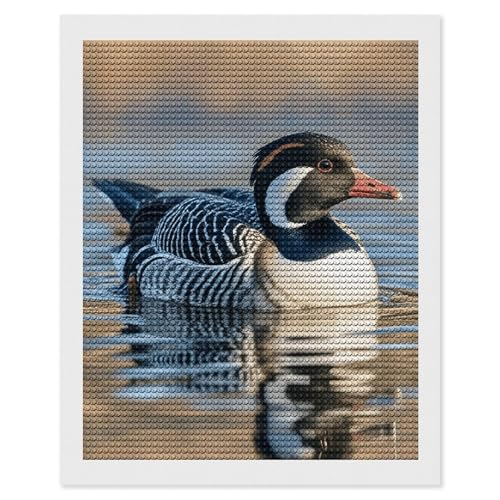 Oiseaux peinture diamant salon kit complet FodPand 5D pour chambre adulte