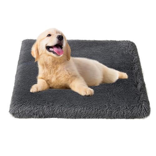 Bizcasa Cuccia Cane, 75x50x6cm, Ortopedica Cuscino per Cani, Tappetino per cani, Sfoderabile e Lavabile, Base Antiscivolo, Materassino Cane Resistente a Morsi e Graffi Cuccia Gatto, Grigio