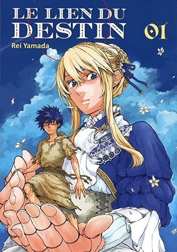 Le Lien du Destin — Tome 1