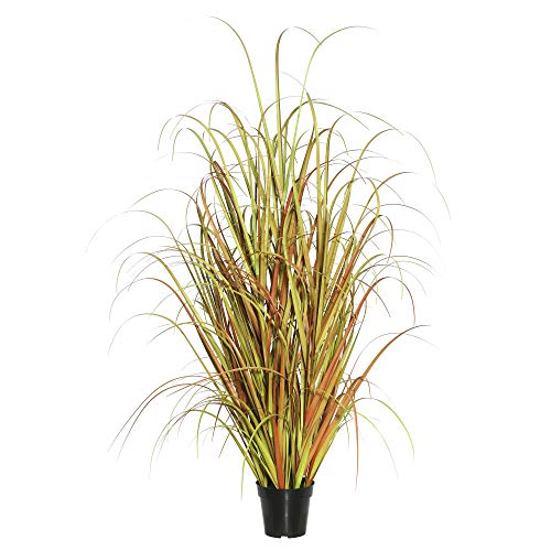 Vickerman Everyday 60