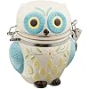 Floral Owl