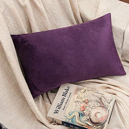 Image of NTBAY 2 Pack Zippered Velvet Queen Pillowcases, Super Soft and Cozy Luxury Fuzzy Flannel Pillow Cases with Zipper, 20x30 Inches, Purple