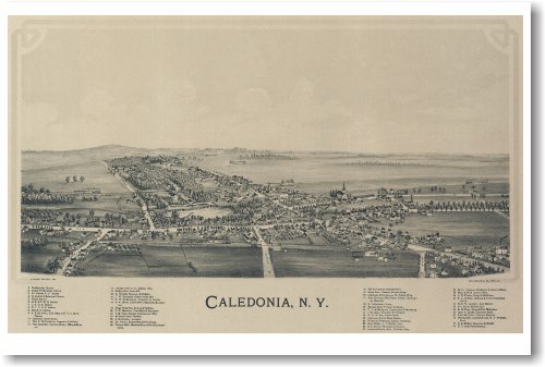 Caledonia, Ny - Vintage Aerial Map - NEW Travel Poster