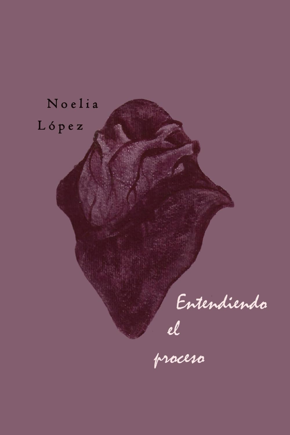 Entendiendo el Proceso