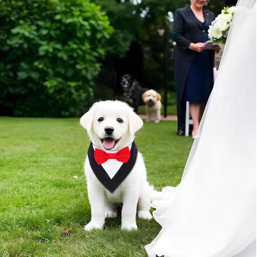 GEEHUA Fliege für Hunde - Hochzeitsbandana mit Fliege für kleine Hunde, verstellbar für Haustierhunde