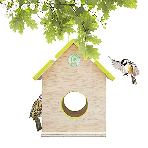PetNest-Wild-Hanging-Bird-Feeder-Chabutra-Gift-idea-for-Outside-Patio-Backyard-with-Free-Hanging-Green-Chabutra