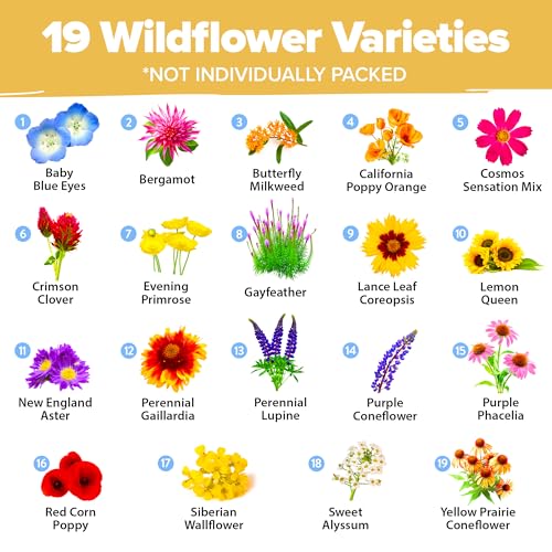 Image of HOME GROWN Wildflower Seed Mix - 89,000+ Pure USA Flowers | No Filler Bulk Supply for Outdoor Planting | 19 Perennial & Annual Varieties | Butterfly Garden | 3 oz