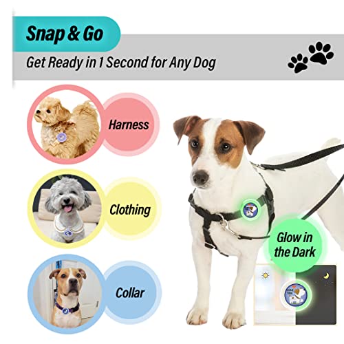 Image of KN FLAX Aegis Calming Clip for Dogs (Glow-in-The-Dark), Anxiety Relief Pheromone Diffuser [Made in Korea], Lasts 60 Days, Reducing Stress During Loud Noise and Separation for All Sized Dog (with U)