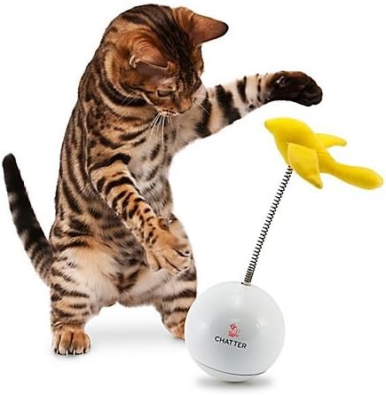 FroliCat Chatter