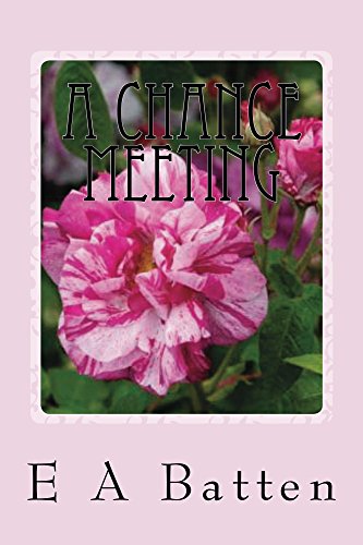 A Chance Meeting: a Pride and Prejudice Variation
