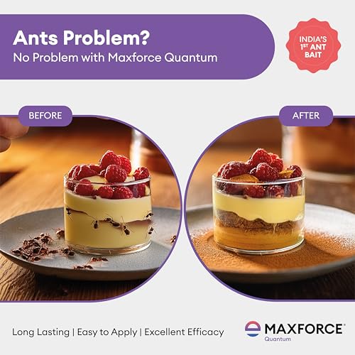 Image of Maxforce Quantum Ant Killer Gel | Ant Control - Bait for Home & Kitchen | Ant Killer Gel | Long Lasting Ant Control | 30g